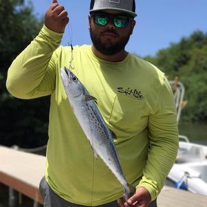 Meet your Posher, Andres